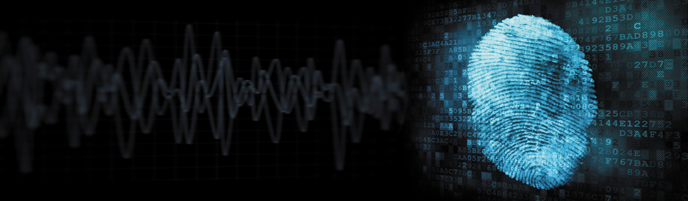 Seguridad Informática